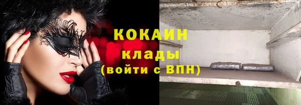 молекула духа Алексеевка