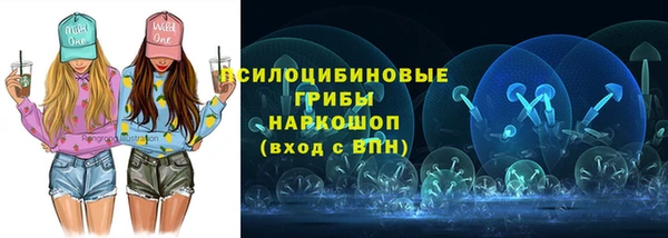 молекула духа Алексеевка