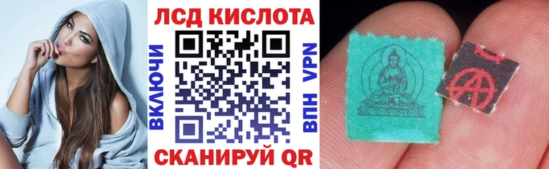 купить наркоту  Ревда  Марки N-bome 1,8мг 